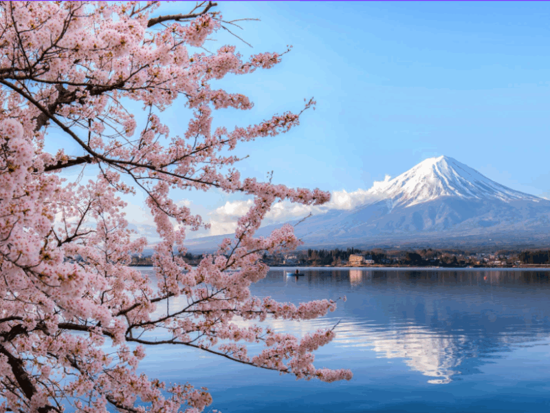 SOLD OUT - April 10-22, 2026